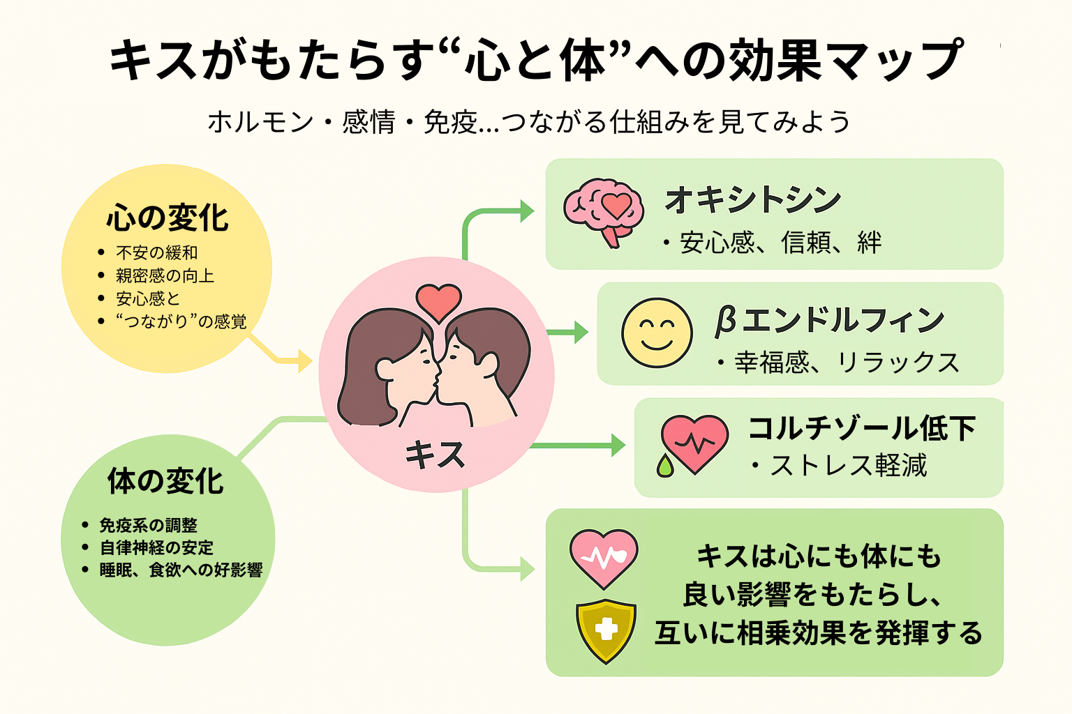 キスによるホルモン分泌や心理・生理的効果を図解したインフォグラフィック。オキシトシンやコルチゾール低下、免疫系への影響などが視覚的に説明されている。